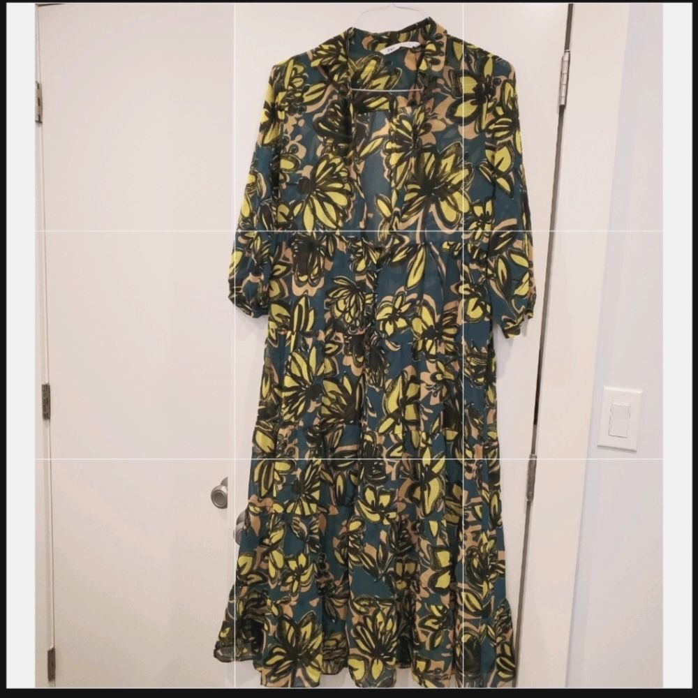 Zara Gorgeous see thru dress